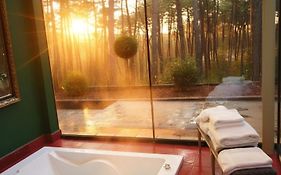 Hotel Boutique Pinar By Bossh! Hotels